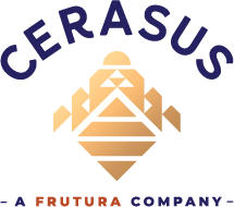 Cerasus, empresa que ha confiado en proyectos de infraestructura TI de IT Helper